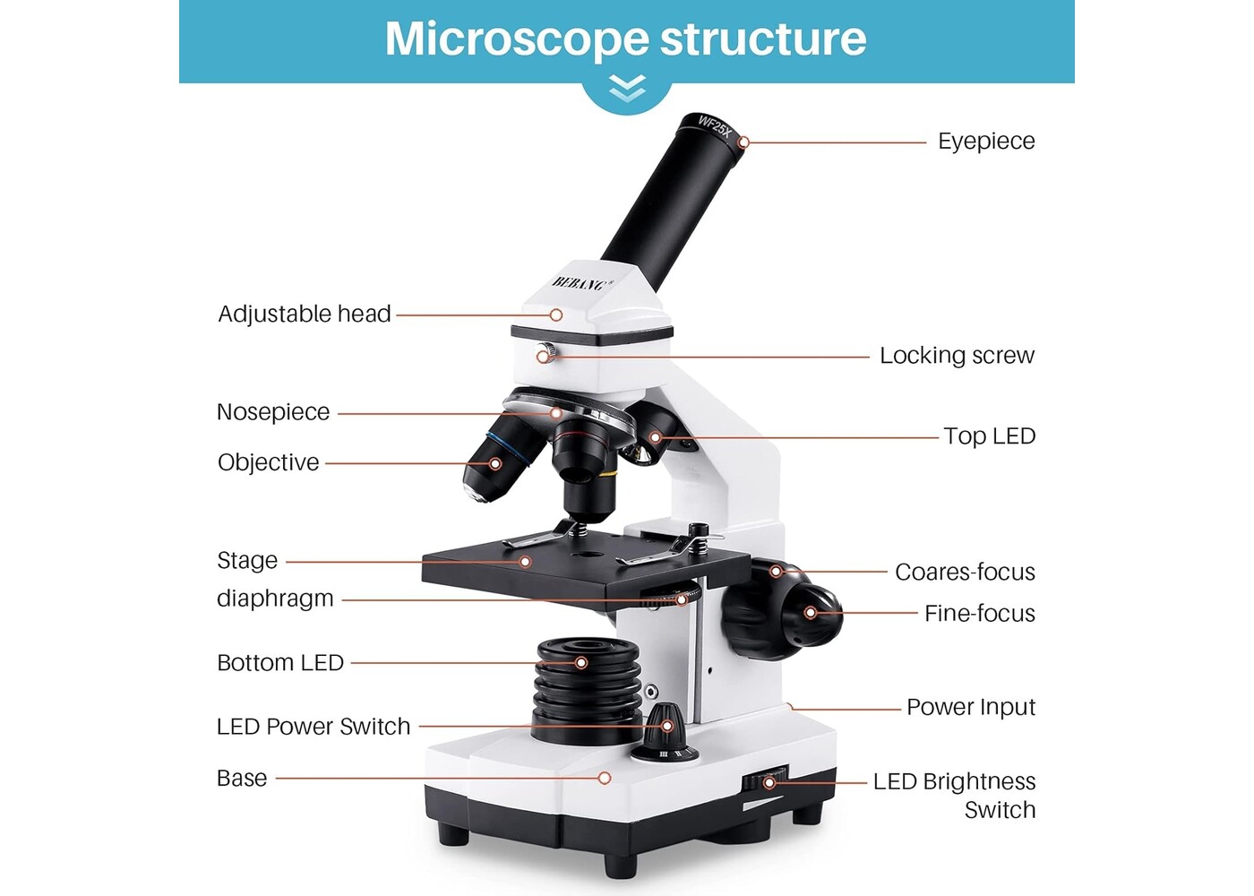 Rexar Professional Biological Microscope 100X–2000X with LED Illumination and Smartphone Adapter