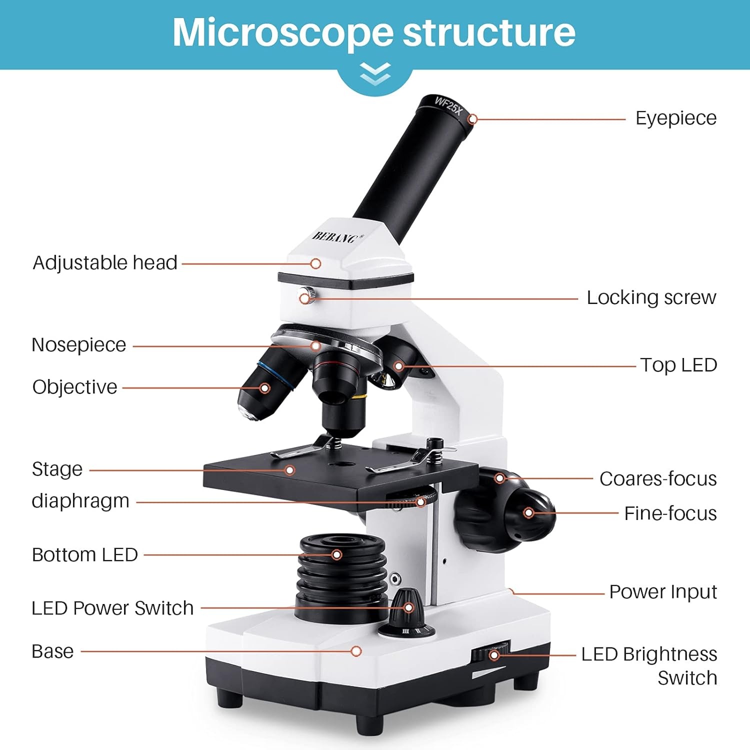 Rexar Professional Biological Microscope 100X–2000X with LED Illumination and Smartphone Adapter