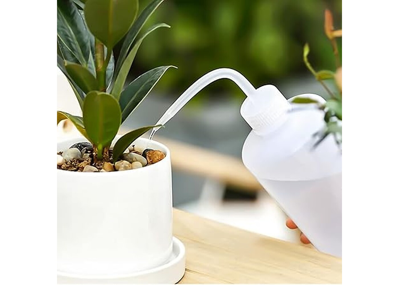 Rexar Laboratory Wash Bottles 150 ml with Curved Spout and Funnel – Pack of 3