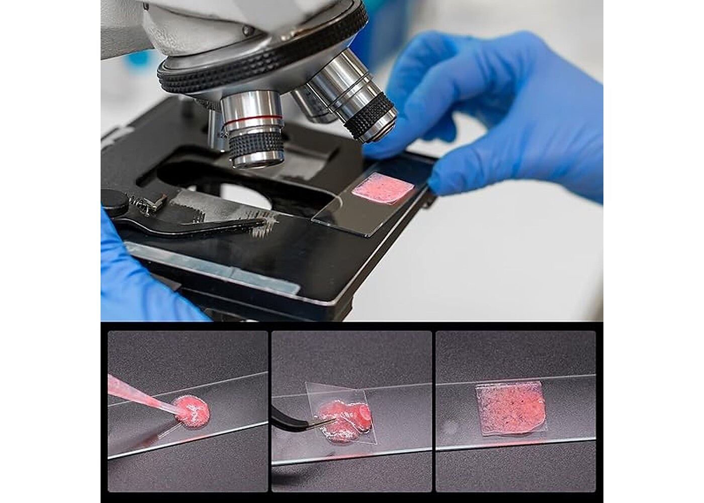 Rexar Microscope Slides and Coverslips Set – 100 Glass Slides, 200 Coverslips and 10 Pipettes