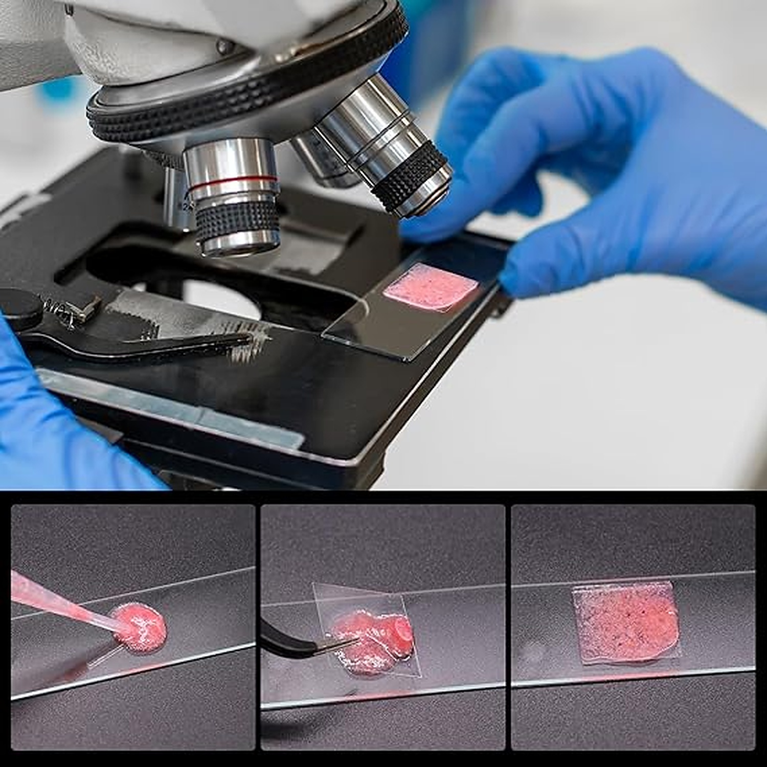 Rexar Microscope Slides and Coverslips Set – 100 Glass Slides, 200 Coverslips and 10 Pipettes