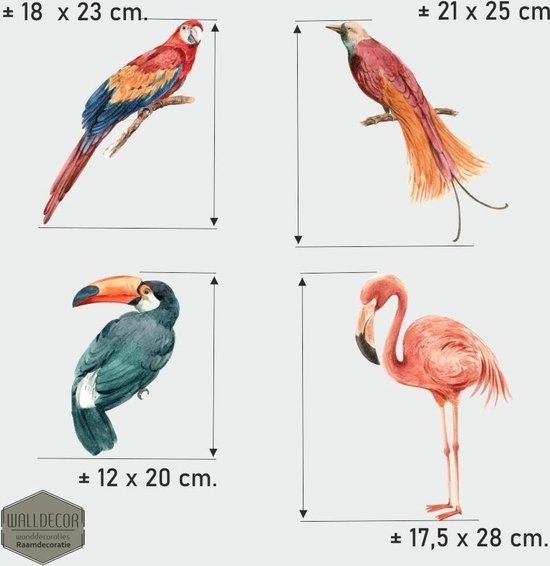 Uitgestorven paperback geboorte Vogelbescherming raamstickers Set van 4 tropische vogels in pastel tinten -  Allerhandestickers.nl --- (ook custommade stickers)