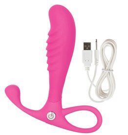 CalExotics Roze anaal vibrator USB