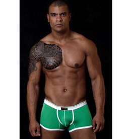 Liftende Boxer - Groen