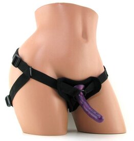 S&M Strap-On & Silicone Dildo Kit