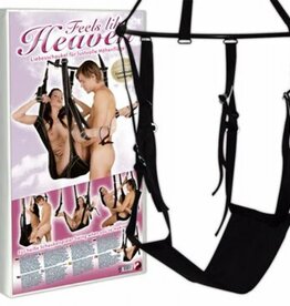 Erotic Entertainment Love Toys love swing