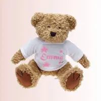 Ours en peluche Classique avec nom