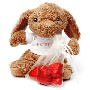 Lapin en peluche avec chocolat