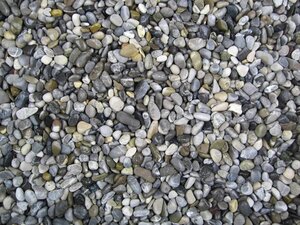 Alpen siergrind (losgestort)