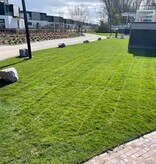 Ardenner Grijs Zwerfkeien