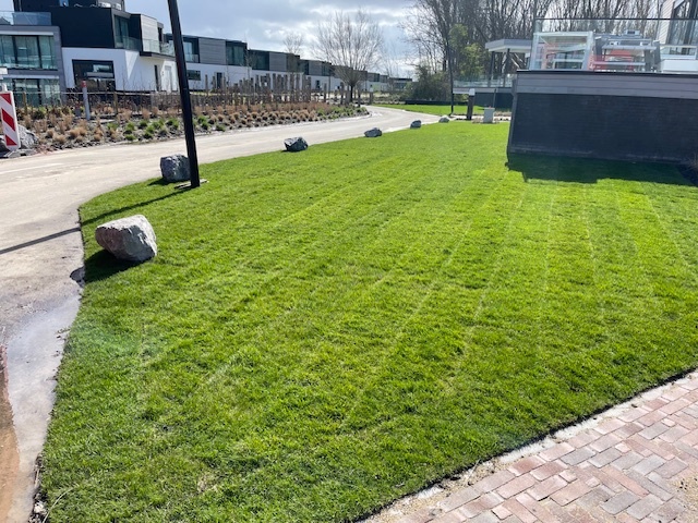 Ardenner Grijs Zwerfkeien