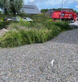 Canadian Slate Black siersplit (losgestort)