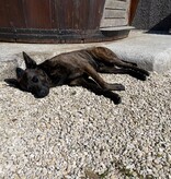 Castle rond siergrind (bigbags)