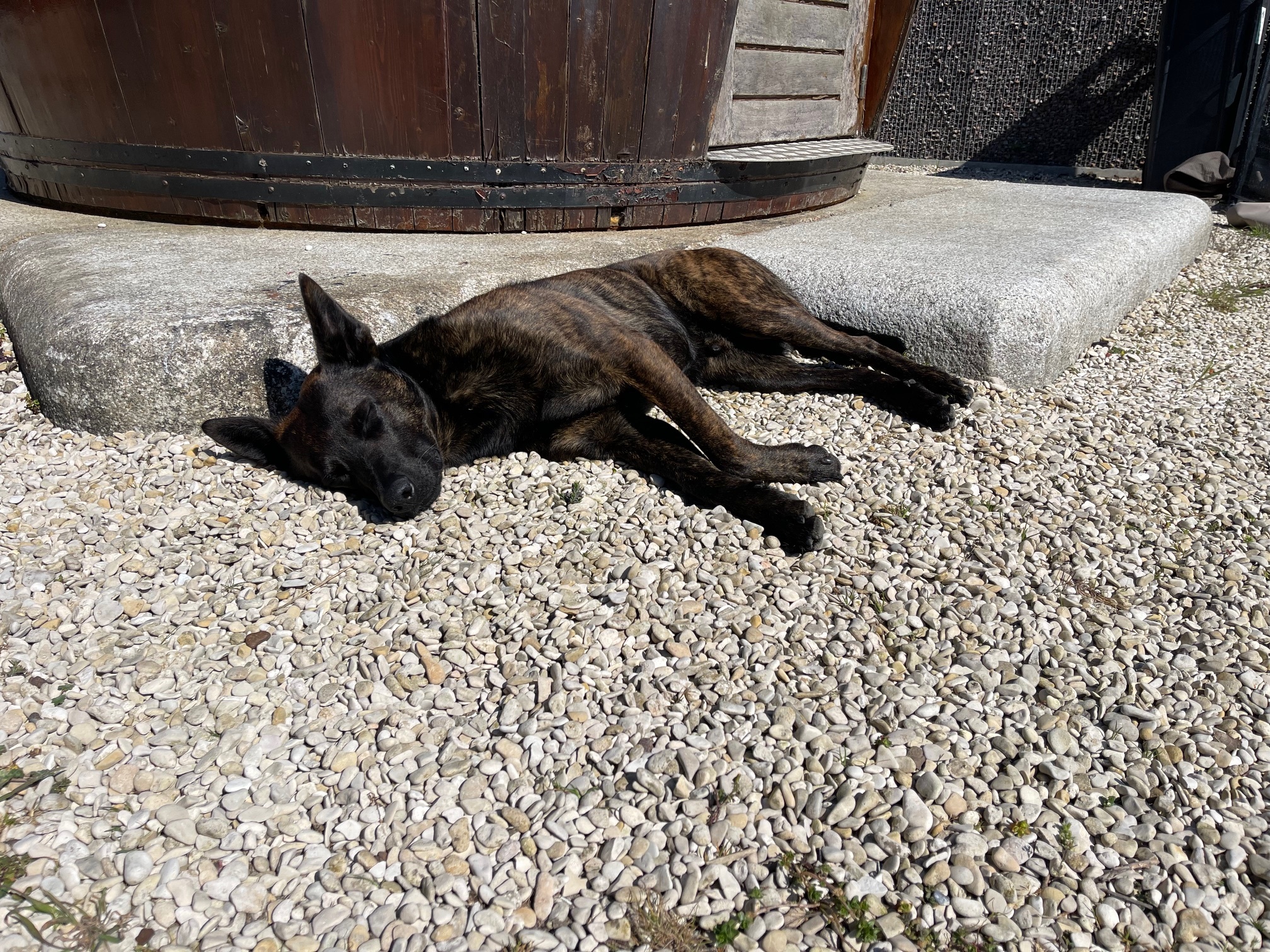 Castle rond siergrind (bigbags)