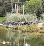 Ardenner Grijs stenen rots 20-40 cm (losgestort)