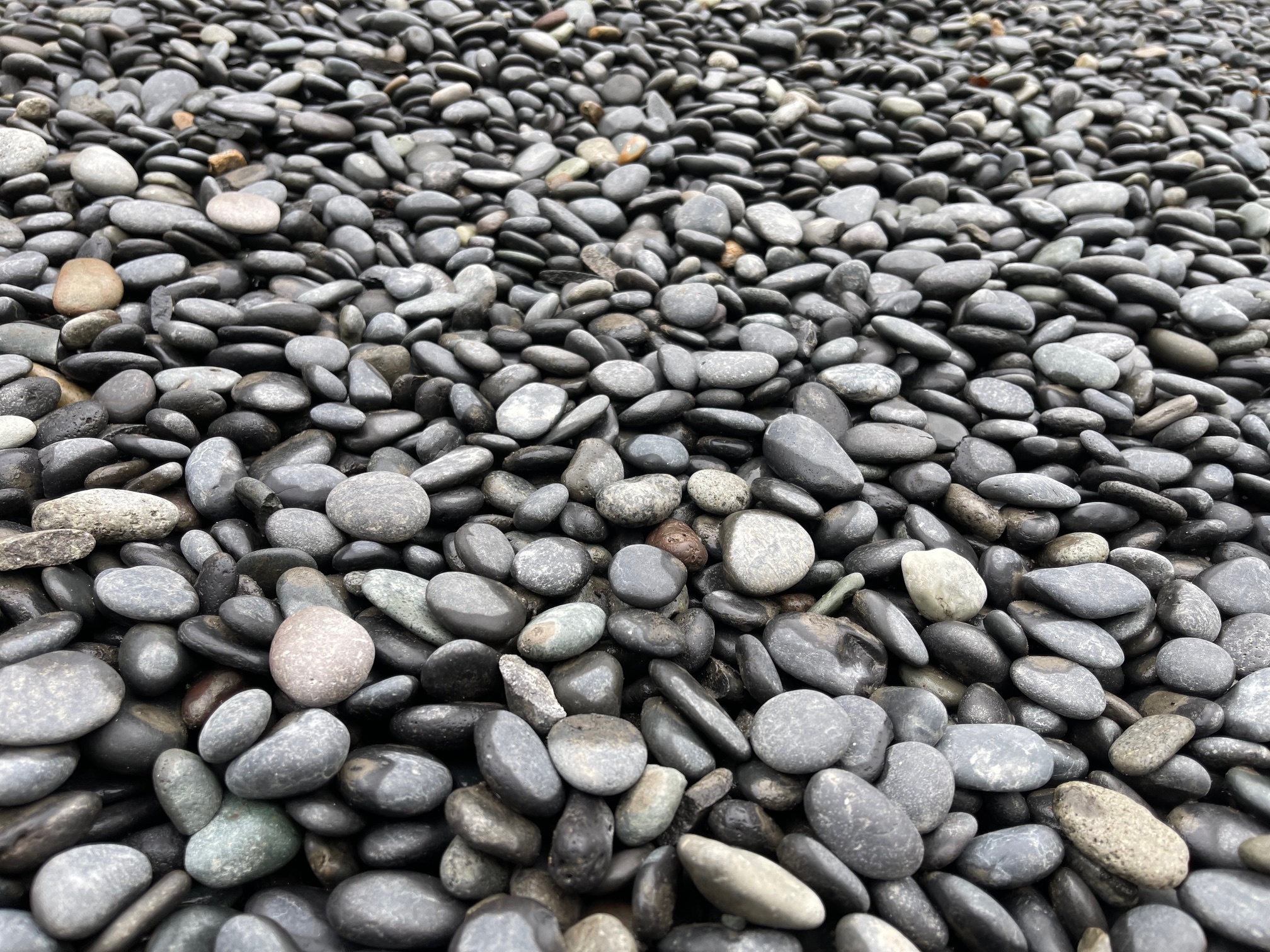 Beach Pebble Black siergrind 16-25 mm (bigbags)