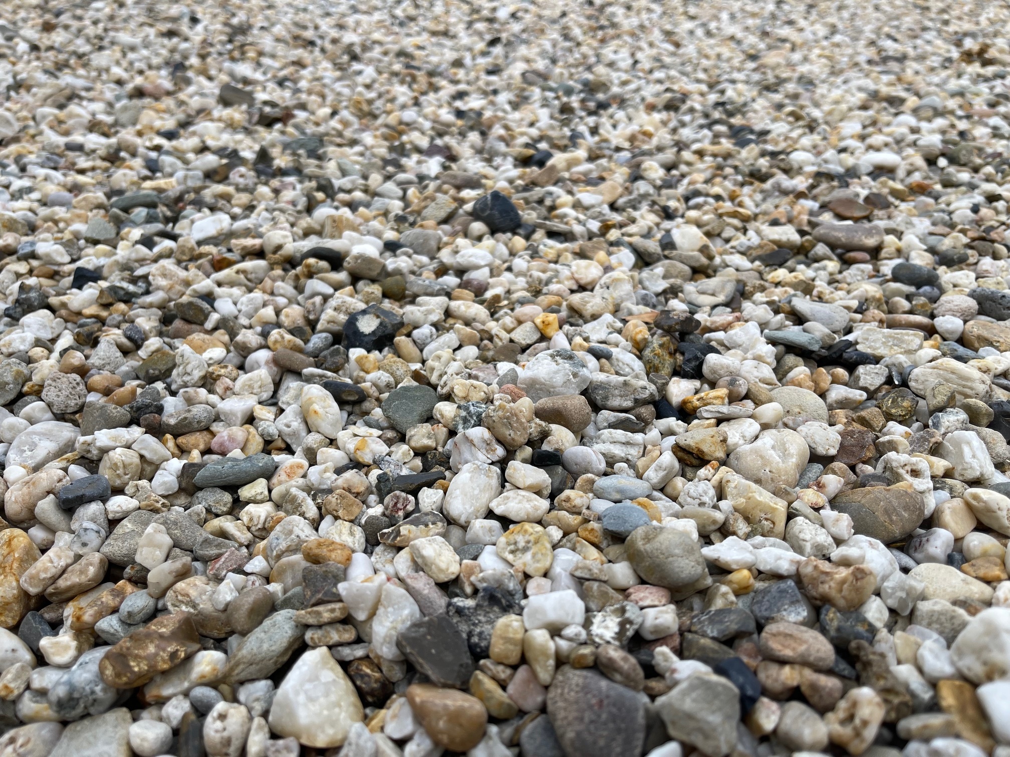 Limburgs Wit siergrind (losgestort)