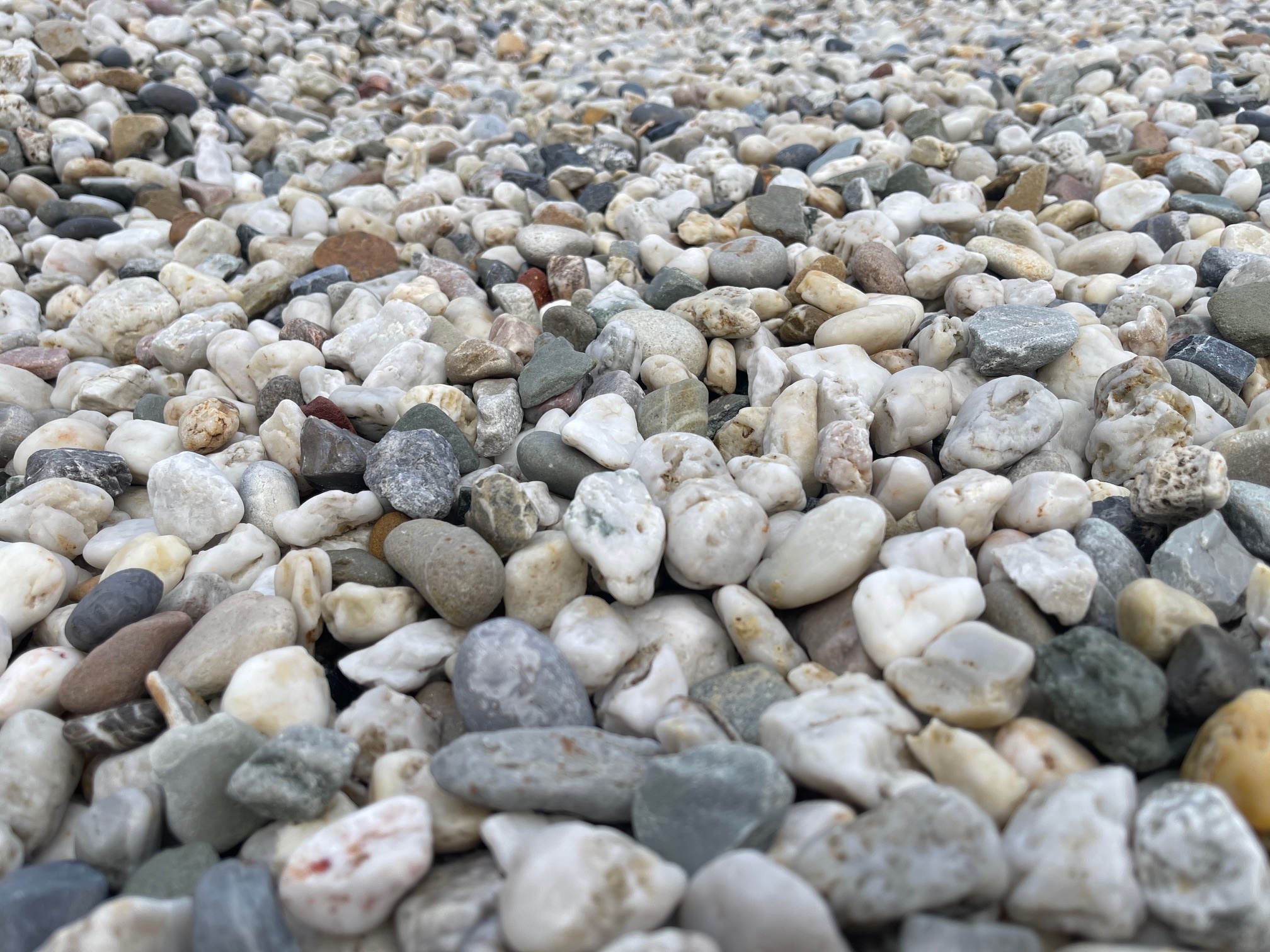 Limburgs Wit siergrind (losgestort)