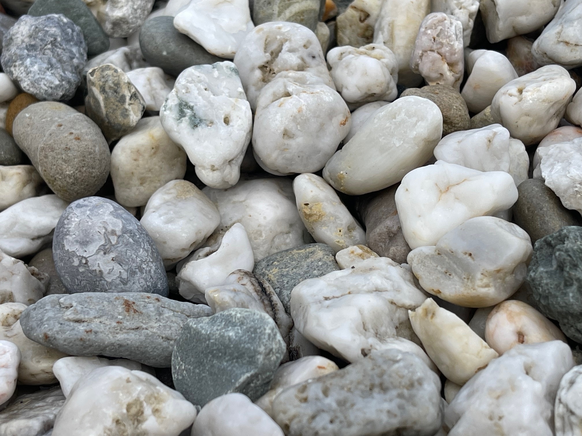 Limburgs Wit siergrind (losgestort)