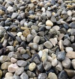 Alpen siergrind (losgestort)