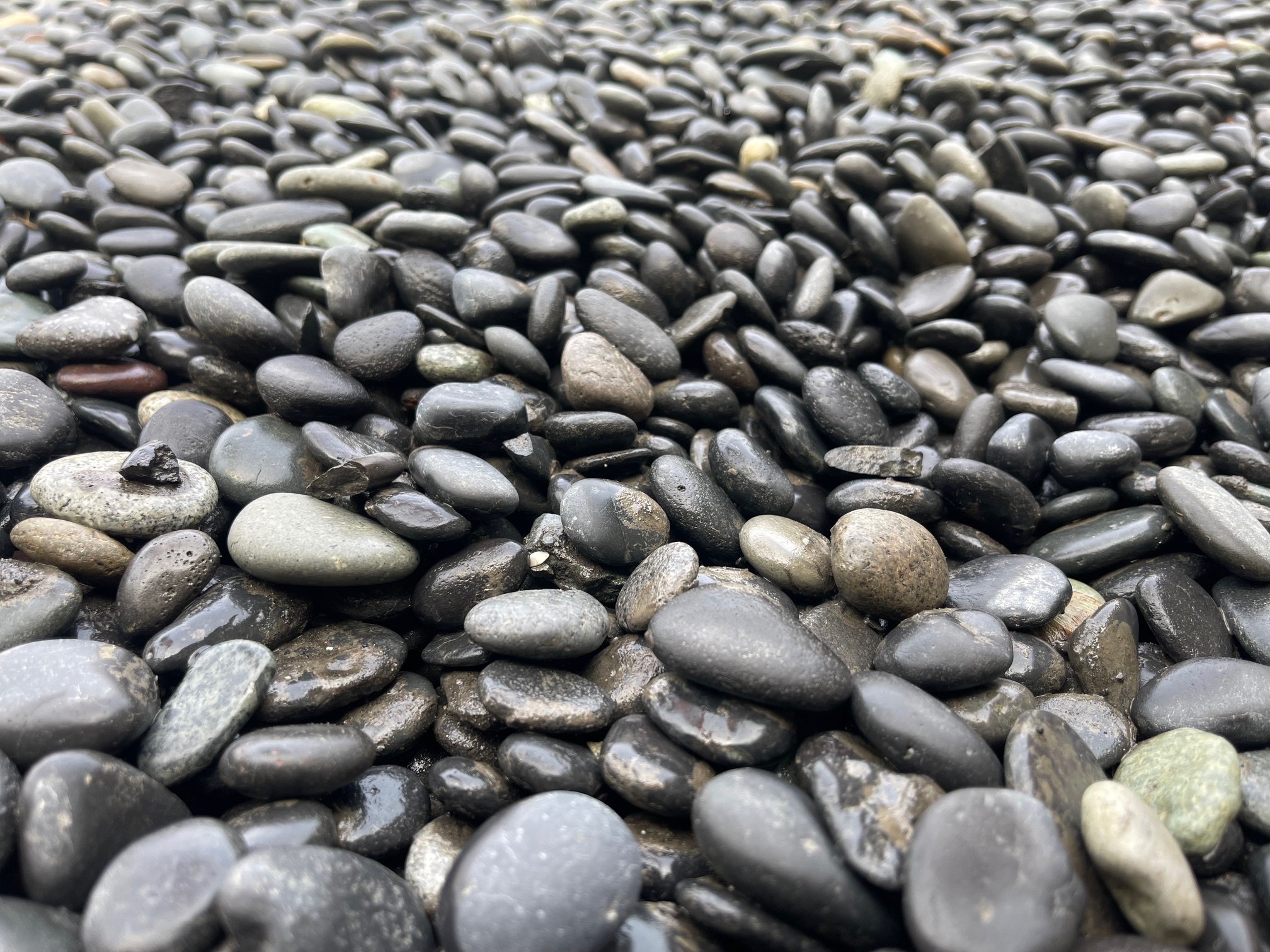 Beach Pebble Black siergrind 16-25 mm (bigbags)