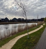 Gele Dolomiet siersplit 0-8 mm (bigbags)