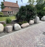 Gletsjer Bont zwerfkeien