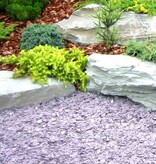 Canadian Slate Paars  siersplit (losgestort)
