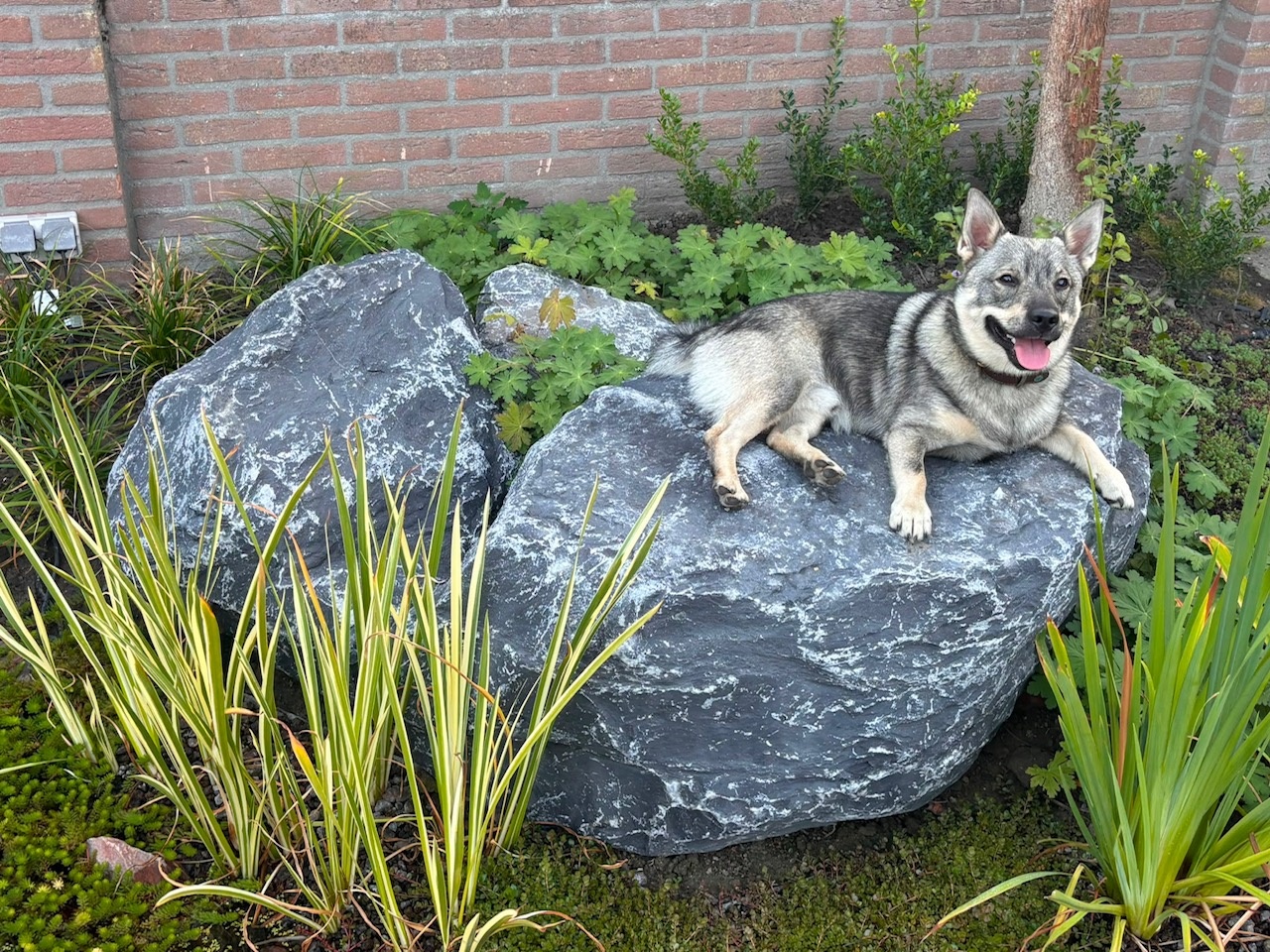 Ardenner Grijs Zwerfkeien
