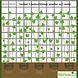 Hedera Helix 180-200cm hoog C2 potmaat Hedera Helix 180-200cm hoog C2 potmaat