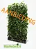 Hedera schutting 120 x 180 cm Hedera schutting 120 x 180 cm