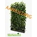 Mijnhedera Hedera schutting 120 x 200 cm Mijnhedera Hedera schutting 120 x 200 cm