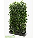 Mijnhedera Hedera schutting 120 x 200 cm Mijnhedera Hedera schutting 120 x 200 cm