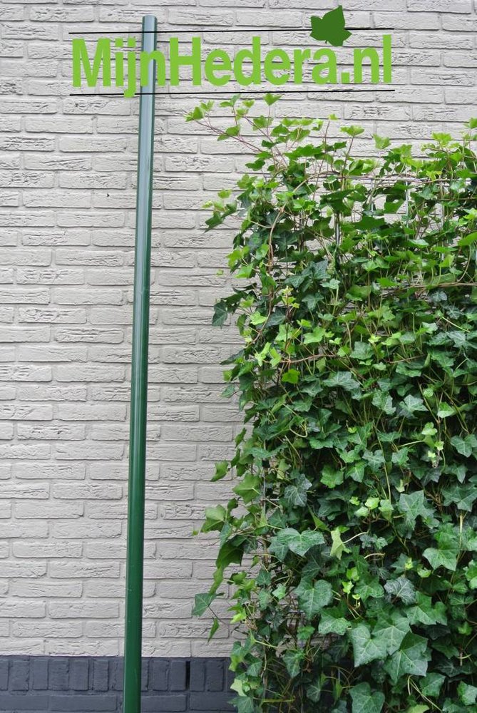 Groene paal passend bij 120x180cm hedera haag Groene paal passend bij 120x180cm hedera haag