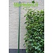 Groene paal passend bij 120/180 hedera haag Groene paal passend bij 120/180 hedera haag