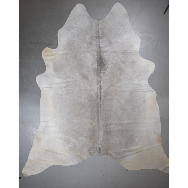 Van Buren sinds 1861 Uniek gefotografeerd grijs koeienhuid - VS-K17 - ca. 255 x 230 cm