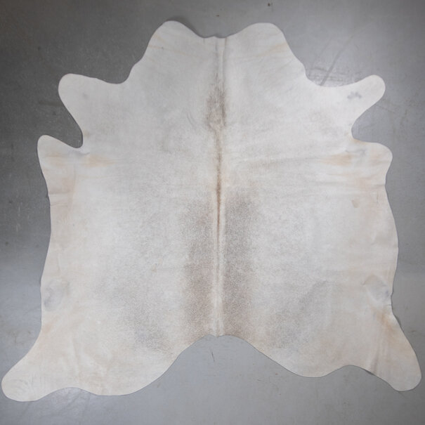 Van Buren sinds 1861 Uniek gefotografeerd grijs koeienhuid - VS-K32 - ca. 195 x 220 cm