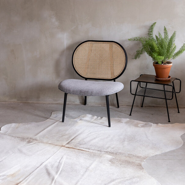 Van Buren sinds 1861 Uniek gefotografeerd grijs koeienhuid - VS-K32 - ca. 195 x 220 cm