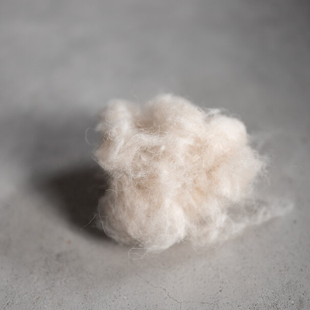 Van Buren sinds 1861 Van Buren Natuurwol