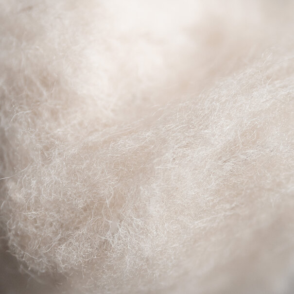 Van Buren sinds 1861 Van Buren Natuurwol