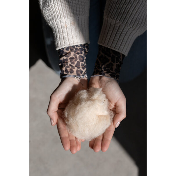 Van Buren sinds 1861 Van Buren Natuurwol