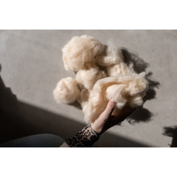 Van Buren sinds 1861 Van Buren Natuurwol