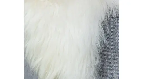 Waarom schapenvacht in bed?