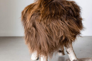 Schapenvacht krukjes en poefs