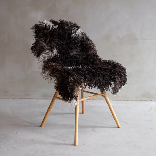 Van Buren sinds 1861 Krulvacht Bergschaap - ca. 108x68cm - SVV-517