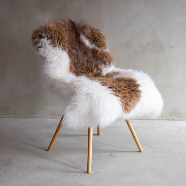 Van Buren sinds 1861 Texels Schapenvacht Bont - ca. 120x80cm - GR S - SVV-495