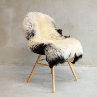 Blauwe Texelaar Schapenvacht - SVV-586