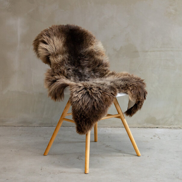 Van Buren sinds 1861 Uniek Gefotografeerd Blauwe Texelaar Schapenvacht ca. 104x64cm - SVV-628