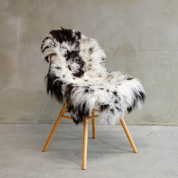 Van Buren sinds 1861 Uniek Gefotografeerd Tibetaans Bont Schapenvacht ca. 110x68cm - SVV-600