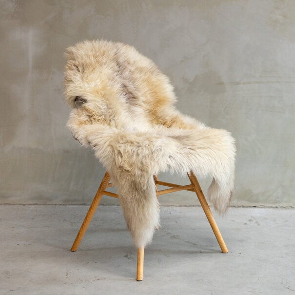 Van Buren sinds 1861 Uniek Gefotografeerd Texels Gemêleerd Schapenvacht ca. 115x65cm - SVV-605